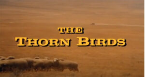 thornbirds