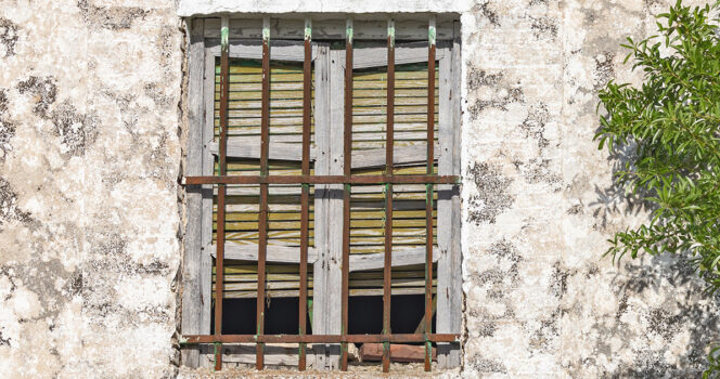 window
