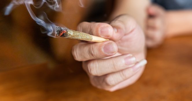 cannabis
